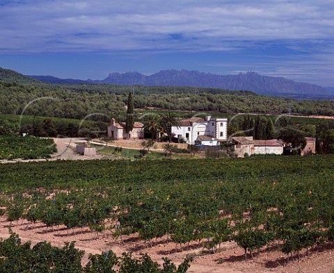 The Agulladolc vineyard of Miguel Torres with the Sierra de Montserrat in distance at an altitude of 360 metres near Mediona Catalonia Spain  Peneds