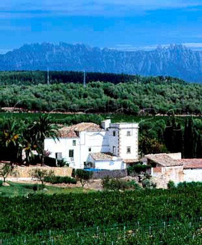The Agulladolc estate of Miguel Torres with the   Sierra de Montserrat beyond at an altitude of 360m   near Mediona Catalonia Spain          Penedes