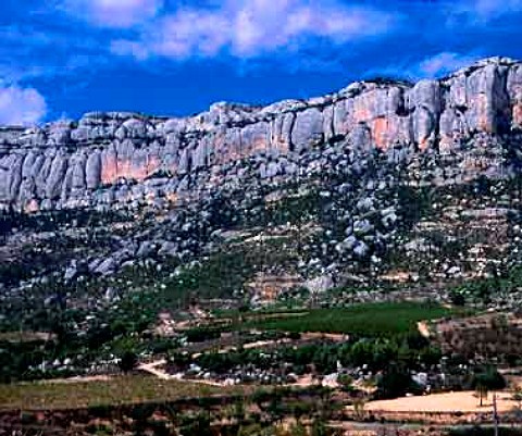 Vineyards below the Sierra de Montsant at Morera de   Montsant Catalonia Spain Priorato DO