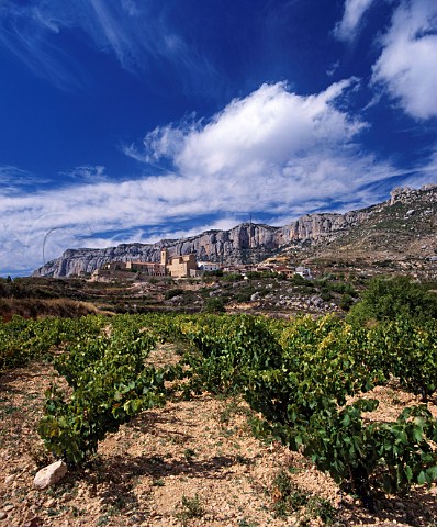 Vineyard below the village of La Morera de Montsant with the Sierra de Montsant beyond Catalonia Spain Priorato DO