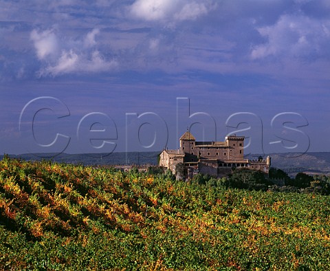 The Castillo de Riudabella dating from the 12th and 13th centuries amidst its vineyards of Chardonnay and Pinot Noir  Vimbodi Catalonia Spain Conca De Barber