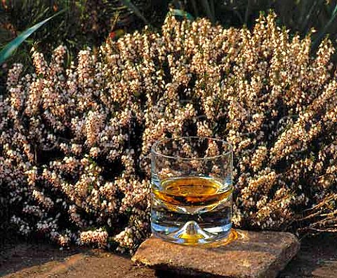 Whisky and heather
