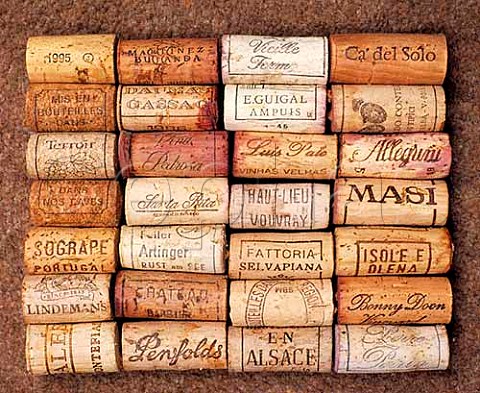 Assorted wine corks  The picture illustrates the  different lengths available  the left row being  the shorter the middle two rows average and the the right row longer