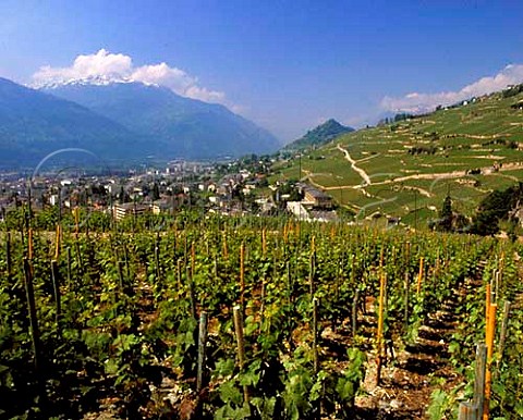 Vineyards above Sion and the Rhne Valley Valais   Switzerland