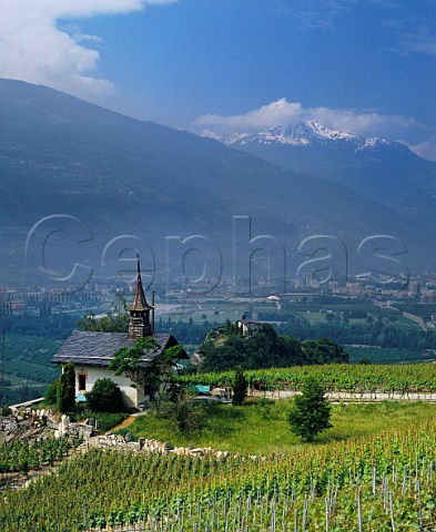 Vineyards above Son and the Rhne Valley Valais Switzerland