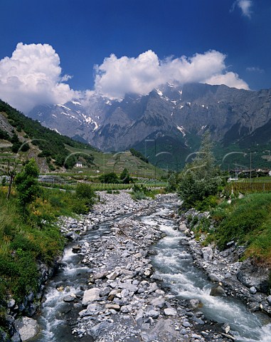 Vineyards by mountain stream at Chamoson in the Rhne Valley Valais Switzerland