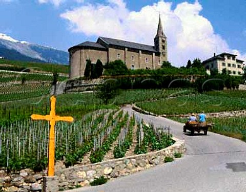 Vineyards around church at Conthey near Sion   Valais Switzerland
