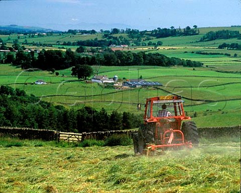 Turning hay  Nithsdale near Auldgirth Dumfries   and Galloway Scotland