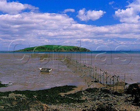 Balcary Fishery and Heston Island on the Solway Firth Dumfries and Galloway Scotland