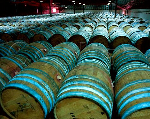 American oak barrels Beaulieu vineyard Rutherford Napa valley California