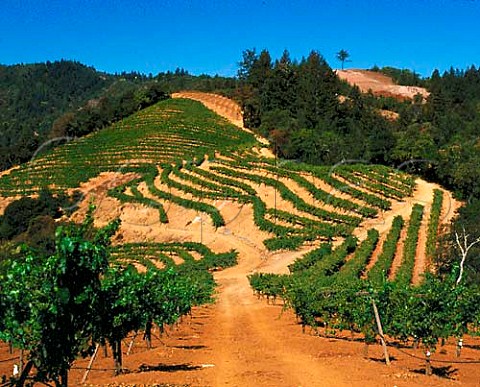 Newton Vineyards St Helena Napa Valley  California