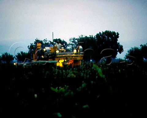 Dawn harvesting of Chardonnay Trefethen   vineyardsNapaCalifornia