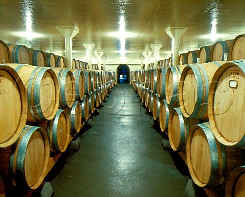 New oak barriques in cellar of Newton St Helena  Napa valley California  Spring Mountain