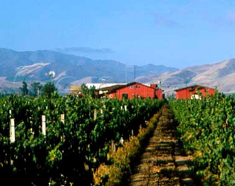 Jekel Vineyards in the Arroyo Seco at   Greenfield Monterey Co California