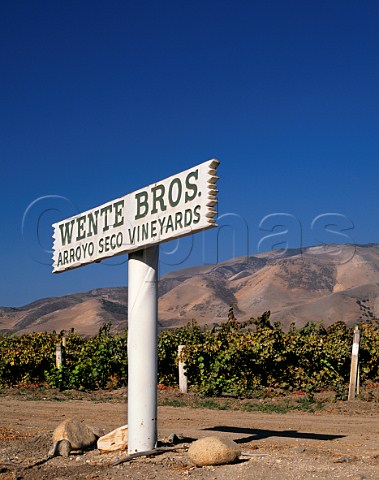 Sign for Wente vineyard in the Arroyo Seco  Monterey County California USA