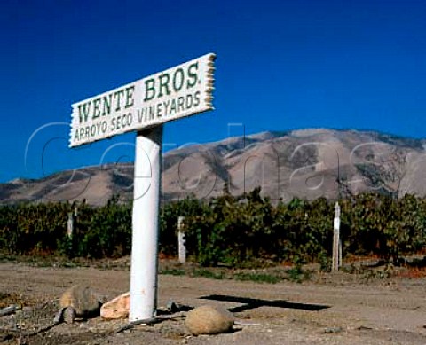 Sign for Wente Bros vineyards in the Arroyo Seco Monterey Co California