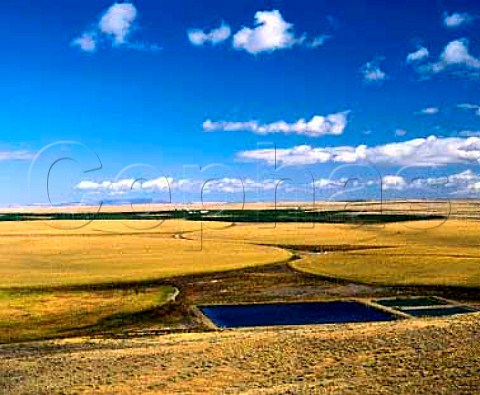 Circular maize fields for ease of irrigation   Paterson Washington USA
