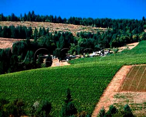 Erath Vineyards winery surrounded by Knudsen   Vineyards in the Red Hills near Dundee   Oregon USA   Willamette Valley AVA