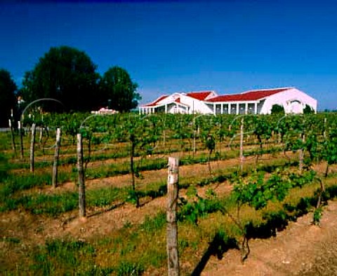 Pindar Vineyards Winery Cutchogue Long Island   North Fork New York