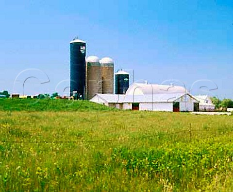 Grain silos near Ovid on the east side of Seneca   Lake New York Finger Lakes