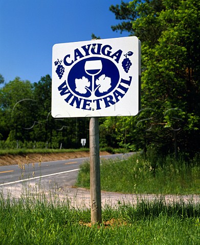 Cayuga Wine Trail sign Cayuga Lake New York USA   Finger Lakes