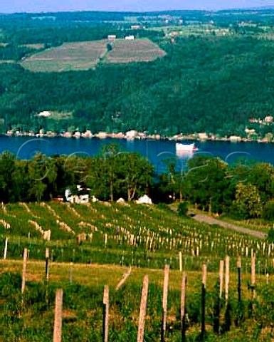 Bully Hill Vineyards on the west side of Keuka Lake   with the Keuka Queen paddle steamer on the lake   Hammondsport New York Finger Lakes