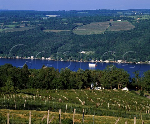 Bully Hill Vineyards on the west side of   Keuka Lake with the Keuka Queen paddlesteamer on   the lake    Hammondsport New York USA    Finger Lakes