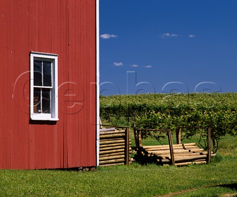 Red wooden barn by Concord vineyard near Madison Ohio USA    Lake Erie AVA