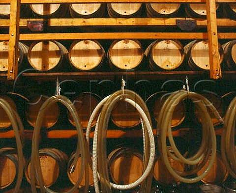 Hoses in the barrel cellar of Acacia Winery Napa   California    Carneros