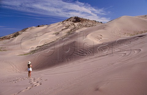 Little Sahara sand dunes Juab County Utah USA
