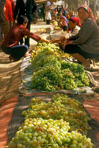 Grapes on sale at roadside market  Aksu Xinjiang Province China