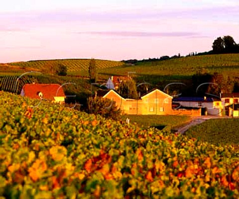 House and winery of Champagne Ren Prvot catching   the evening sun on the north facing slopes of the   Montagne de Reims at VillersAllerand Marne France  Champagne