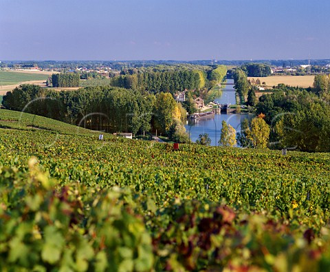Vineyards leading down to the Canal Lateral de la Marne below Hautvillers Marne France  Champagne