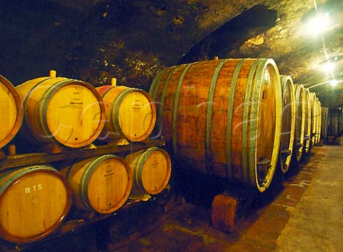 Oak barrels in the cellars of Weingut Dr   BurklinWolf in Wachenheim an der Weinstrasse    Germany   Pfalz