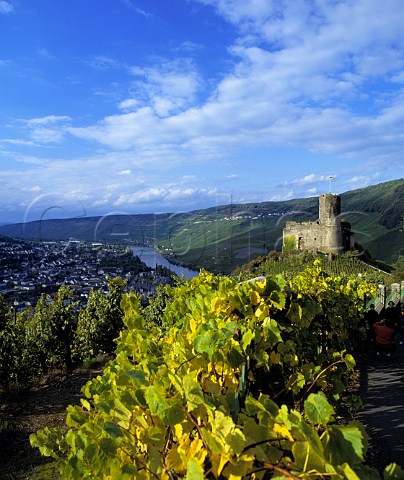 Burg Landshut medieval castle and the Schlossberg   vineyard overlooking BernkastelKues Germany         Mosel