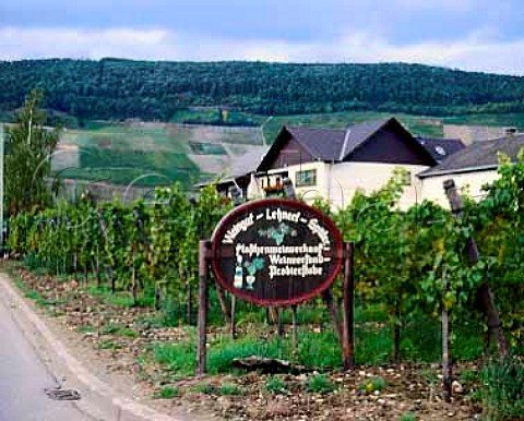 Wine for sale sign outside a small Winery in   Piesport  Goldtropfchen vineyard in the background   Germany  Mosel