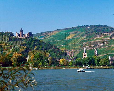 Burg Stahleck castle above Bacharach on the west   bank of the Rhine River with Furstental vineyard   below the castle and Posten vineyard above the town    Germany  Mittelrhein