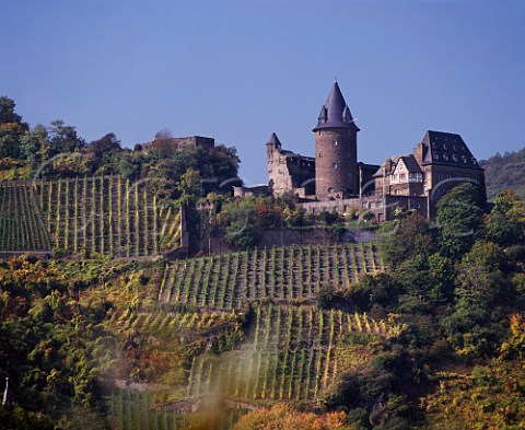 Burg Stahleck castle above the Furstental vineyard at Bacharach Germany   Mittelrhein