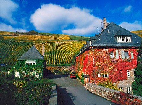 The Stadt Weingut below Hollenberg vineyard at   Assmannshausen  Germany   Rheingau