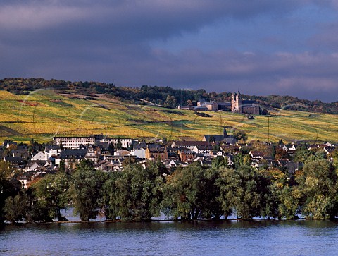 St Hildegardis abbey in the Klosterberg vineyard   above Rdesheim and the Rhine Germany  Rheingau