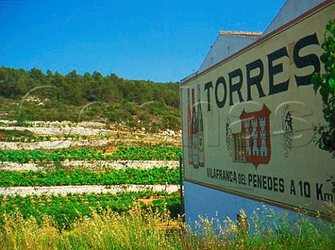 Sign for Torres in vineyard near Vilafranca del   Penedes Catalonia Spain   Penedes