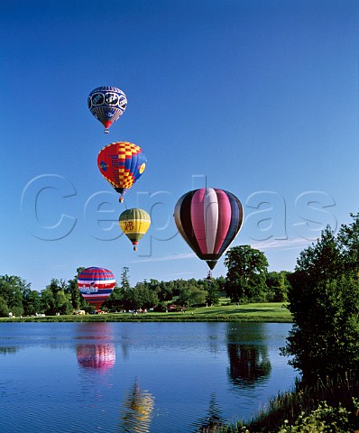 Hot air balloons taking off from Leeds Castle  grounds  Kent