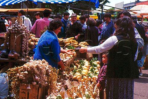 Vegetable stall in market Chillan Chile