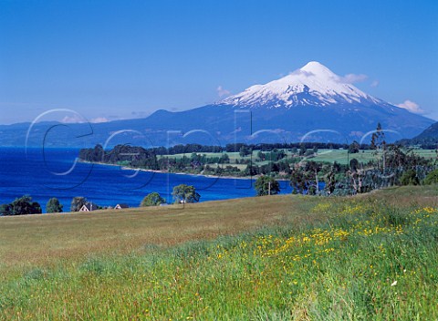 The 11000 feet high Osorno Volcano viewed over Lake Llanquihue Near Puerto Montt Chile