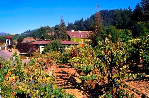 Hess Collection Winery on Mount Veeder   northwest of Napa California