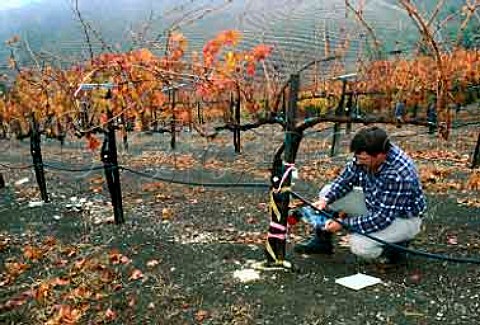 Measuring soil humidity to determine the need for  irrigation in vineyard of Hess Collection Napa California Mount Veeder    high on the   slopes of Mount Veeder       Mount Veeder AVA