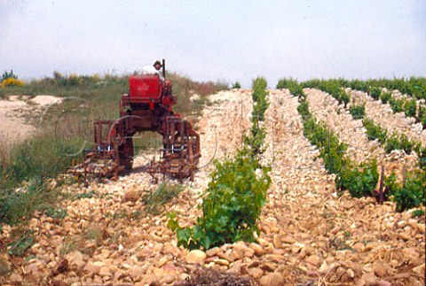 Harrowing to remove weeds in vineyard of   Chteau de la Gardine   ChteauneufduPape Vaucluse France
