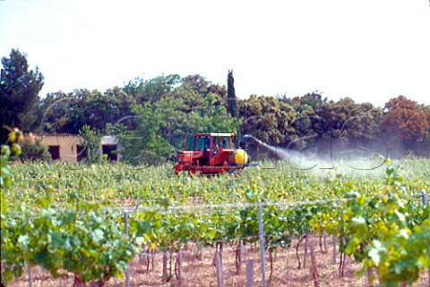 Spraying in vineyard of   Chteau de la Gardine   ChteauneufduPape Vaucluse France