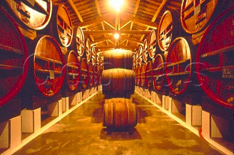 Barrel maturation cellar Domaine de   Beaucastel Courthezon Vaucluse   Chateauneuf du Pape