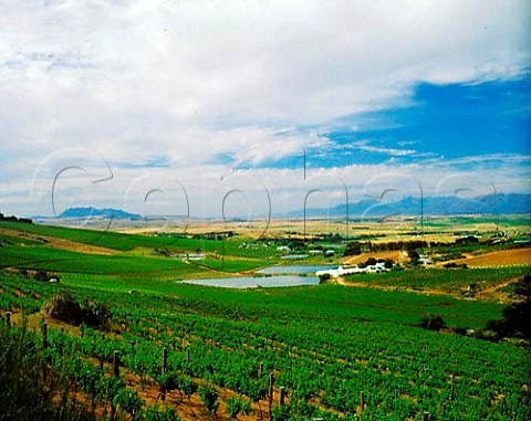 Irrigation lakes on Rhebokskloof Estate Paarl Cape   Province South Africa Paarl WO